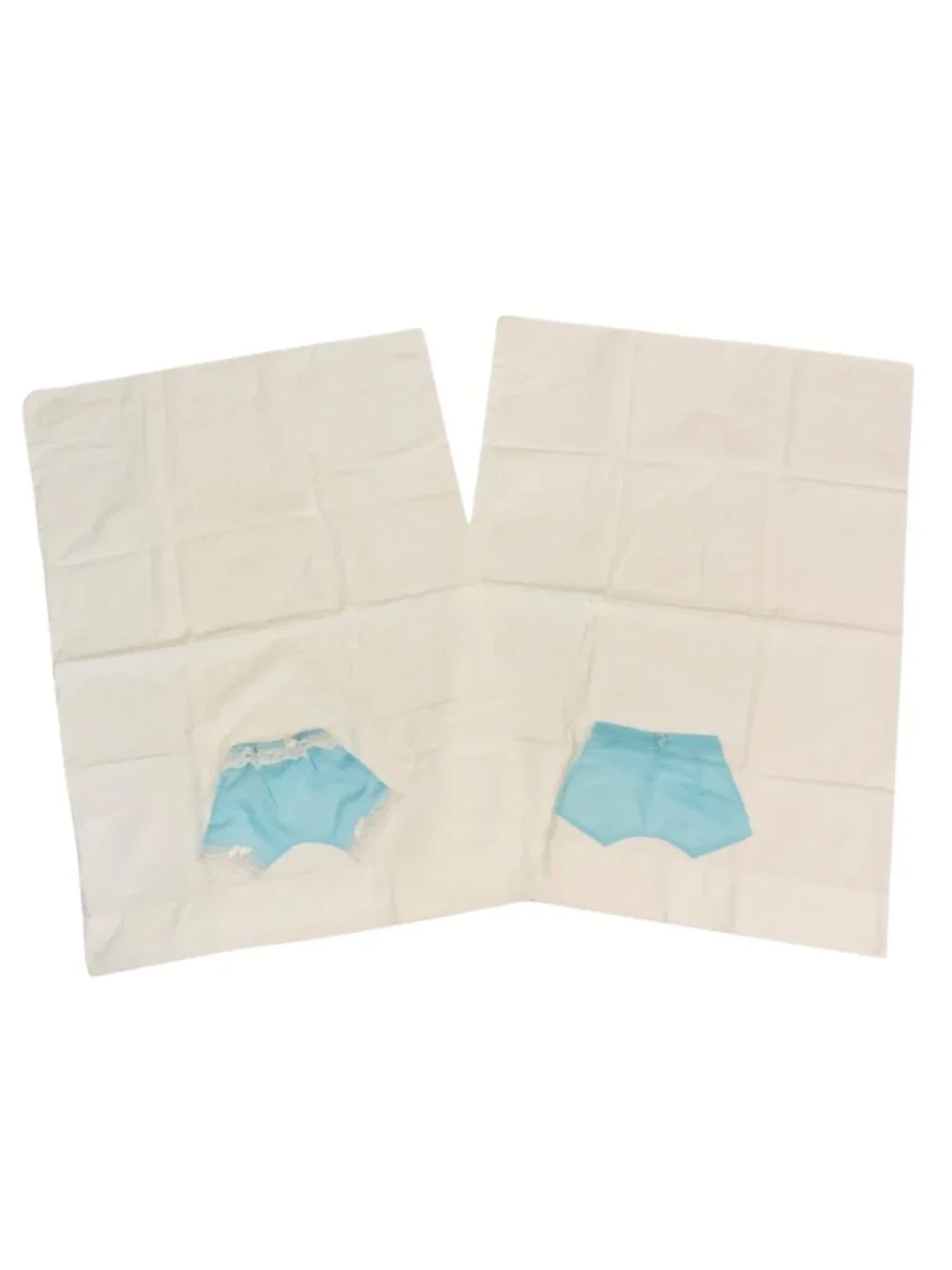 Vintage White Standard Pillowcase Pair Blue His & Hers Bloomers Appliqué